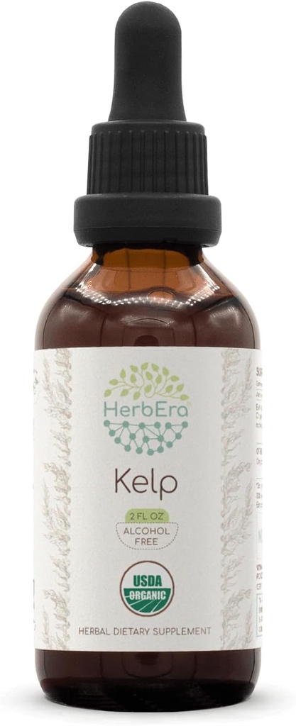 HerbEra Kelp B60 USDA Organic Tincture against 124; Alcohol- Free Extract, High- Potency Herbal Drops against 124; Certified Organic Kelp (Ascophyllum nodosum) Tørret plante (2 oz)