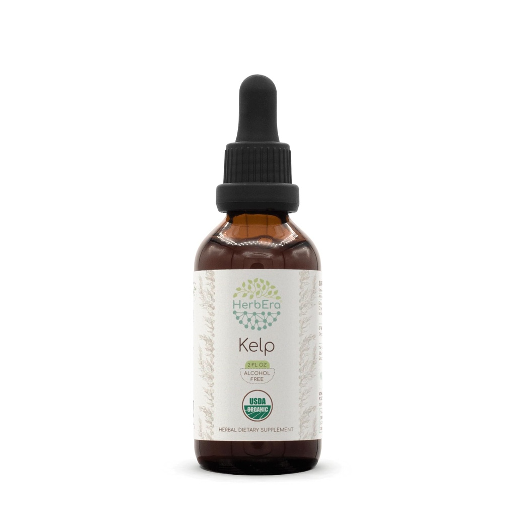 HerbEra Kelp B60 USDA Organic Tincture against 124; Alcohol- Free Extract, High- Potency Herbal Drops against 124; Certified Organic Kelp (Ascophyllum nodosum) Tørret plante (2 oz)