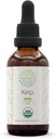HerbEra Kelp B60 USDA Organic Tincture against 124; Alcohol- Free Extract, High- Potency Herbal Drops against 124; Certified Organic Kelp (Ascophyllum nodosum) Tørret plante (2 oz)