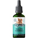 Nzymes ® Tracite Minerals for Kæledyr - Fulvic Acid, Humic Acid, og Iron- Based Trace Mineral Drops og Aminosyrer til ATP Energy, og fordøjelsessygdomme - Made in USA
