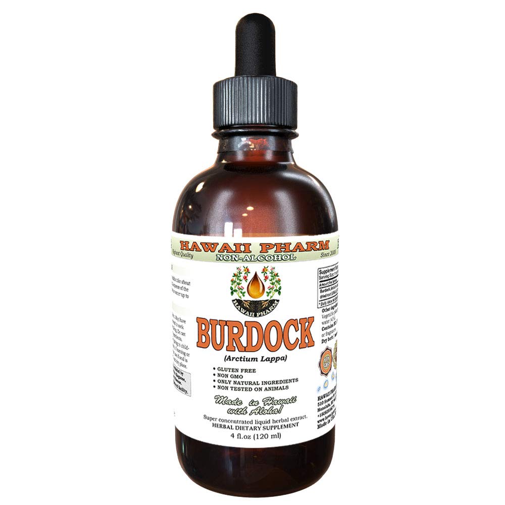 Burre Alkohol- Free Liquid Extract, Organic Burdock (Arctium Lappa) Tørret Root Glycerit Hawaii Pharm Natural Herbal Supplement 4 oz