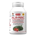 ANDREW LESSMAN ALA + NAC Alpha Lipoinsyre med N- Acetyl- Cysteine 360 kapsler - Ultra-High Potency, Anti- Oxidant Support for Nervesystemet, Heart, Brain, Lever, Nyrer, Lunger, Energi. Ingen tilsætningsstoffer