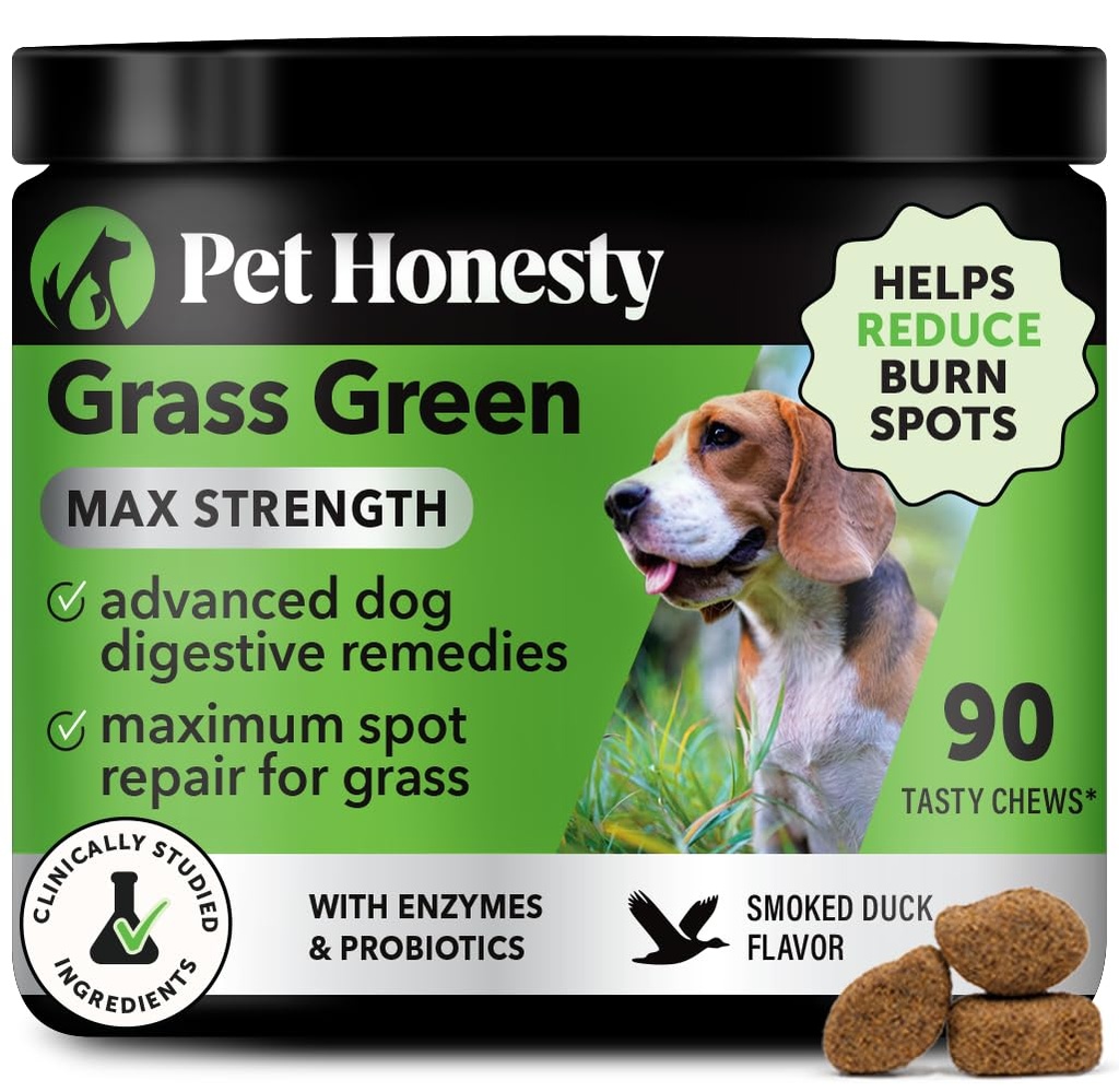 Grass Green Max Strength Chews for Dogs - Premium Hund Uringræsplæne Spot Saver Supplement - Understøtter sund fordøjelse, Gut & Urinary Sundhed med Probiotika, DL- Methionin & Yucca (90ct Duck Flavor)