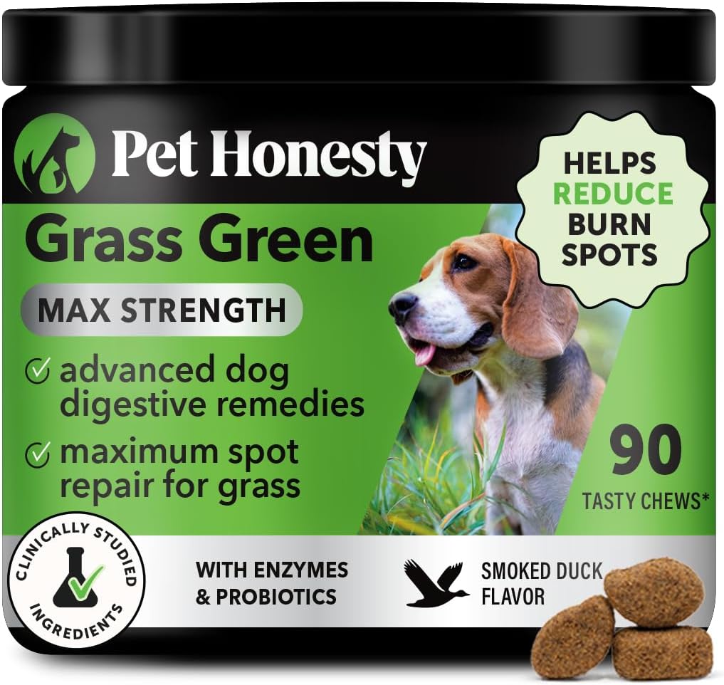 Grass Green Max Strength Chews for Dogs - Premium Hund Uringræsplæne Spot Saver Supplement - Understøtter sund fordøjelse, Gut & Urinary Sundhed med Probiotika, DL- Methionin & Yucca (90ct Duck Flavor)