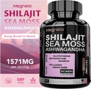 All-in-One Sea Moss, Shilajit, Ashwagandha & Glutathione supplement til kvinder, øger energi, 60 kapsler
