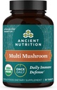 Ancient Nutrition Mushroom supplement, Organic Multi Mushroom immunsupport Tablet, Understøtter Stress Response, Gluten Free, Paleo og Keto Friendly, 30 Greve