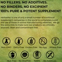 Moringa Oleifera Leaf Powder Tablets - 500mg UNCOATED Organic Pills - Energy, Metabolism, Immune Booster | Complete Green Superfood Supplement - 100% Natural RAW Vegan Non-GMO (240 Tablets)