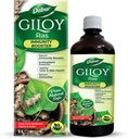 Dabil Giloy Juice Immunitet Booster med naturlige kilde til antioxidanter - 1 L