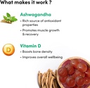 Ashwagandha D-vitamin Gummies against 124; Hjælper med at forbedre styrke, Energi & Immunitet