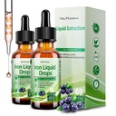 2 Pack flydende jern supplement til kvinder mænd & børn, Vegansk jerndråber med vitamin C D, B12, B- kompleks, høj potens Væske med Multivitamin til anæmi, energistøtte, Magnesium jernskål
