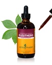 Herb Pharm Eleuthero (Sibirisk Ginseng) Root Liquid Extract for Energy and Stamina, Cane Alcohol, 4 Ounce