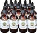 African Cherry Pygeum Alkohol- Free Liquid Extract, African Cherry Pygeum (Prunus Africana) Bark Glycerite Natural Herbal Supplement, Hawaii Pharm, USA 15x4 oz