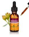 Herb Pharm Certified Organic Rhodiola Root Extract for Energy, Endurance og Stamina, Alkohol- Free Glycerite, 1 Ounce