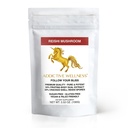 Addictive Wellness Reishi Mushroom Extract Powder + Sporer (50 / 50 Blend) Træ dyrket Pure & Potent Wildcrafted Ganoderma (100 Bedste)