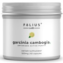 Pure Garcinia Cambogia Extract Supplement 500mg - 100% Natural HCA Extract Koncentreret til 60% - Understøtter sund fordøjelse og Metabolisme - 60 kapsler