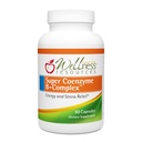 Wellness Resources Super Coenzym B Complex - 90 kapsler - Vitamin B12, Vitamin B Complex for hårvækst, Adrenal Support & Stress Relief - Metyleret B12, Folate, Biotin, Riboflavin, Thiamin