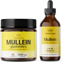 HERBAMAMA Mullein Leaf Extract Kit - Bundle of 2000 mg Mullein Leaf Gummies and Mullein Leaf Tincture 4 fl oz - Vegan, Non- GMO, Alkohol- Free - 2 Pack