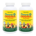 Natures Plus Kilde of Life Voksen 's Chewable, Apple Kanel - 90 Wafers, Pack of 2 - Multi- Vitamin & Mineral Supplement - Gluten Free, Vegetar - 90 Total Servering