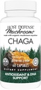 Værtsforsvar Chaga Kapsler - Immunsystemet Support - Chaga Mushroom Kapsler til Antioxidant Aktivitet Support - Kosttilskud - 60 Kapsler (30 Servere) *