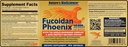 Naturens biovidenskab ® FUCOIDAN Phoenix Advanced: 40.000 mg Pure Organic Fucoidan + 64.000 mg Pure Mushroom