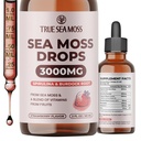 TrueSeaMoss Irish Sea Moss Drops - 5X stærkere end Sea Moss Gel - 92 + Essentials Minerals - med Spirulina pulver, Burdock Root & Black Cumin - 2 Fl Oz (60ml) - Strawberry Flavor