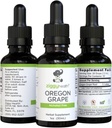Premium Organic Oregon Grape Root Tinktur - Alkohol- Free Extract, 1oz