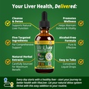 VitaLiver - Levertilskud - Support Lever Rense & Detox - Flydende levering til Absorption - Milk Thistle, Artiskoke, Chanca Piedra, Mælkebøtte & mere!
