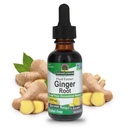 Naturens svar ingefær Root Alkohol Free Extract 1 Ounce ttesmå 124; Understøtter Mavesammensætning 124; Veganer124; Veganer124; Gluten Free