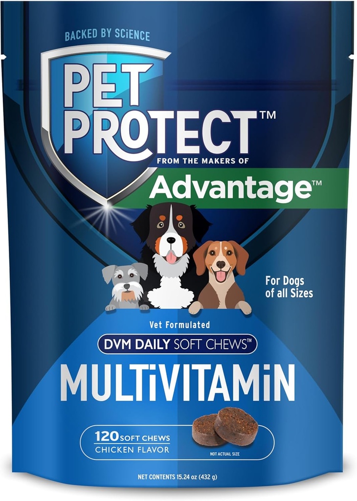 Pet Protect Dog Multivitamin, Vet- Formuleret DVM Daily Soft Chews, Understøtter igangværende sundhed & Wellness, Kylling-Flavor (120 Greve)