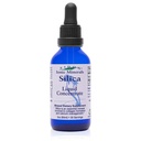 Eidon flydende silica Mineral koncentrat - Silica supplement til hår, hud og negle, Drops til støtte Collagen produktion, Hjælper Administrer Calcium, Ingen tilsat sukker - 2 oz