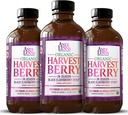 Andi Lynns Organic Harvest Berry Syrup til børn og voksne - Real Honey Elderberry Syrup til immunforsvar - Therapeutic Formel - 4 Fl. Oz (pakke med 3)