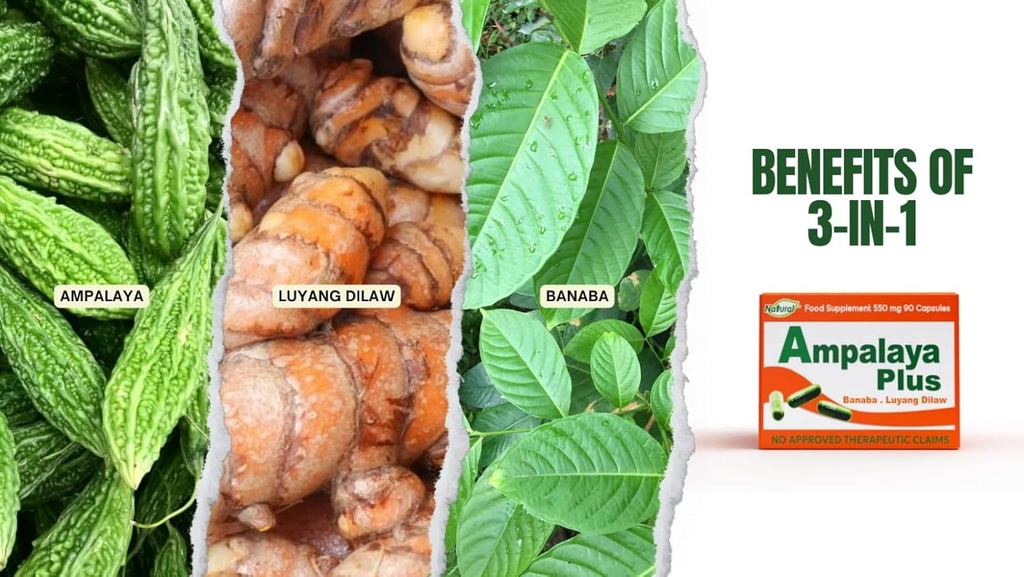 Ampalaya Plus 550mg 90 Kapsler - Pakning med 1 stk. - med Banaba, gurkemeje og bittermelon af Ampalaya Plus - Halal Herbal Supplements