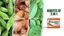 Ampalaya Plus 550mg 90 Kapsler - Pakning med 1 stk. - med Banaba, gurkemeje og bittermelon af Ampalaya Plus - Halal Herbal Supplements