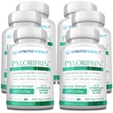 Godkendt videnskab Pyloriprin - Avanceret fordøjelsesstøtte til en sund mave - Zink L-Carnosine, Probiotic, Broccoli Sprut, Deglycyrrhized lakrids - 360 Kapsler - seks måneders forsyning - Vegan