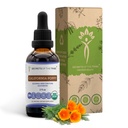 Secrets of the Tribe California Poppy Tincture Alcohol- Free Liquid Extract, USDA Organic California Poppy (Eschscholzia Californica) Tørret rod (2 FL OZ)