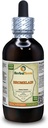 Bromelain (Ananas Comosus) Tinktur, Tørret pulver flydende ekstrakt (Brand Name: HerbalTerra, Stolt Made in USA) 4 fl.oz (120 ml)
