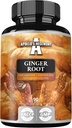 APOLLO 'S HEGEMONY Ginger Root 500 mg, Extract Indeholder 5% gingeroler, 90 Vegan kapsler, 3 Måneder Supply, Ginger Urtetilskud til fordøjelig komfort og immunforsvar