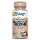 SOLARAY Fermented Mushroom Complete - Organic Chaga, Reishi, Shiitake, Cordyceps, Turkey Tail Mushroom and Lions Mane Supplement Capsules - 8 Mushroom Supplement - Non-GMO, 30 Servings, 60 VegCaps