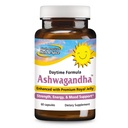 NORDAMERICAN HERB & SPICE Ashwagandha 60 Caps
