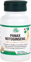 Panax Notoginseng Tablet - sundt kredsløb