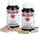 Kroeger Herb Produkter Candida Formel # 1 og # 2, Clease Supplement for kvinder & mænd - Understøtter normale niveauer af Gær og Candida
