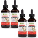 Maxx Herb Ashwagandha Extract - Max Strength Liquid Tincture Absorbs Better Than Capsules or Powder - for Stamina, Memory, og immunforsvar - 4 flasker, 4 Oz Hver (240 Servere)