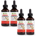 Maxx Herb Ashwagandha Extract - Max Strength Liquid Tincture Absorbs Better Than Capsules or Powder - for Stamina, Memory, og immunforsvar - 4 flasker, 4 Oz Hver (240 Servere)