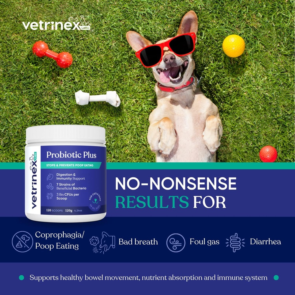 Coprophagia Poop spiser deterrent & forebyggelse, Stop & Forevent Afføring Behandling - Probiotika til hunde, katte og hvalpe - Forbud mod hund fra at spise Poop - Probiotisk pulver (120 GMS)