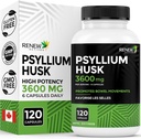 Renew Actives Psyllium Husk 1200MG per 2 Kapsler - Bulk-Forming Laxative & Opløselig Fiber til fordøjelse, regelmæssighed & voksen Wellness - Pure Ingredients - Made in Canada - 120 Kapsler