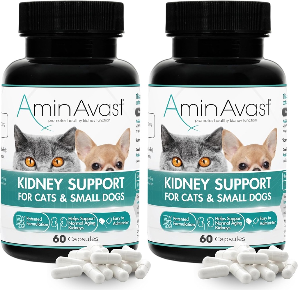 AminAextent Nyre Support for Cats and Small Dogs, 300mg 2- Pack - fremmer naturlige Nyre funktion - Aids in Health and Vitality of Aging Nyrer - Nemt administreret - 60 sprinkle kapsler