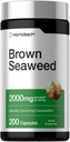 Horbäach Brown Seaweed Extract Capsules | 200 Pills | Fucoxanthin Supplement | Non-GMO, Gluten Free