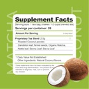 Dr. Zisman ZT Slimming - Matcha- Kokos Urte Tea Blend med Senna Leaf- Antioxidant Effects - 28 Day Wellness Blend (28 Tea Tasker)