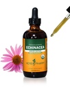 Herb Pharm Certified Organic Echinacea Root Liquid Extract for Immunsystemet Support, Organic Cane Alkohol, 4 Ounce