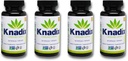 Hamp Oil Support - Pain Support - Støtte til knogler, muskler og joints - General Wellbeing - Naturlig stress Relief og immunforsvar med Omega 3-6 Vitaminer og mineraler Pack med 4-120 Caps